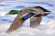 Stained Glass Pattern-Mallard Duck