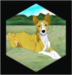 Stained Glass Pattern-Basenji