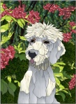 Stained Glass Pattern-Poodle