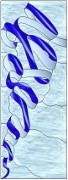Stained Glass Cabinet Door Pattern Ribbon