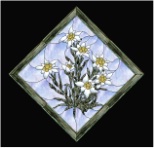 stained glass pattern Edelweiss