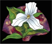 stained glass pattern Trillium