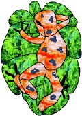 Stained Glass Pattern Calico Frog Suncatcher