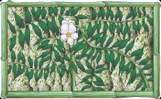 Stained Glass Pattern Rainforest and Ginger Bloom