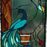 Peacock Stained Glass design © Paned Expressions 2012 Fabricated by Maria Kauffman