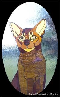 Stained Glass Window-Ruddy Abyssinian Cat