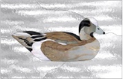 Stained Glass Pattern-Pintail Duck