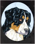 Stained Glass Pattern-Bernese Mountain Dog