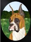 Stained Glass Pattern-Boxer