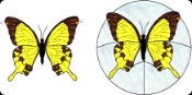 Stained Glass Pattern-Africa Collection