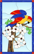 Stained Glass Cabinet Door Pattern Parrot In Dogwood