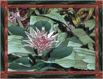 stained glass pink bromeliad