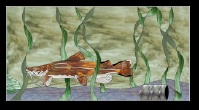 Stained Glass Pattern Flathead Catfish