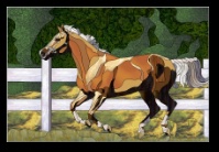 Stained Glass Pattern Stallion Romp
