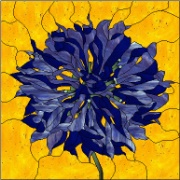 Stained Glass Pattern Cornflower