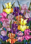 stained glass pattern Bed of Iris