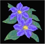 stained glass pattern Clematis