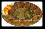 Stained Glass Pattern Armadillo Sunrise