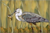 Stained Glass Pattern Heron Breakfast