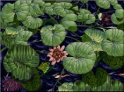 Stained Glass Pattern Lily Pond with Frog