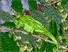 Stained Glass Pattern Kona Coffee Chameleon