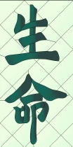 Stained Glass Pattern Kanji - Life
