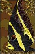 Stained Glass Pattern Baby Angel Fish
